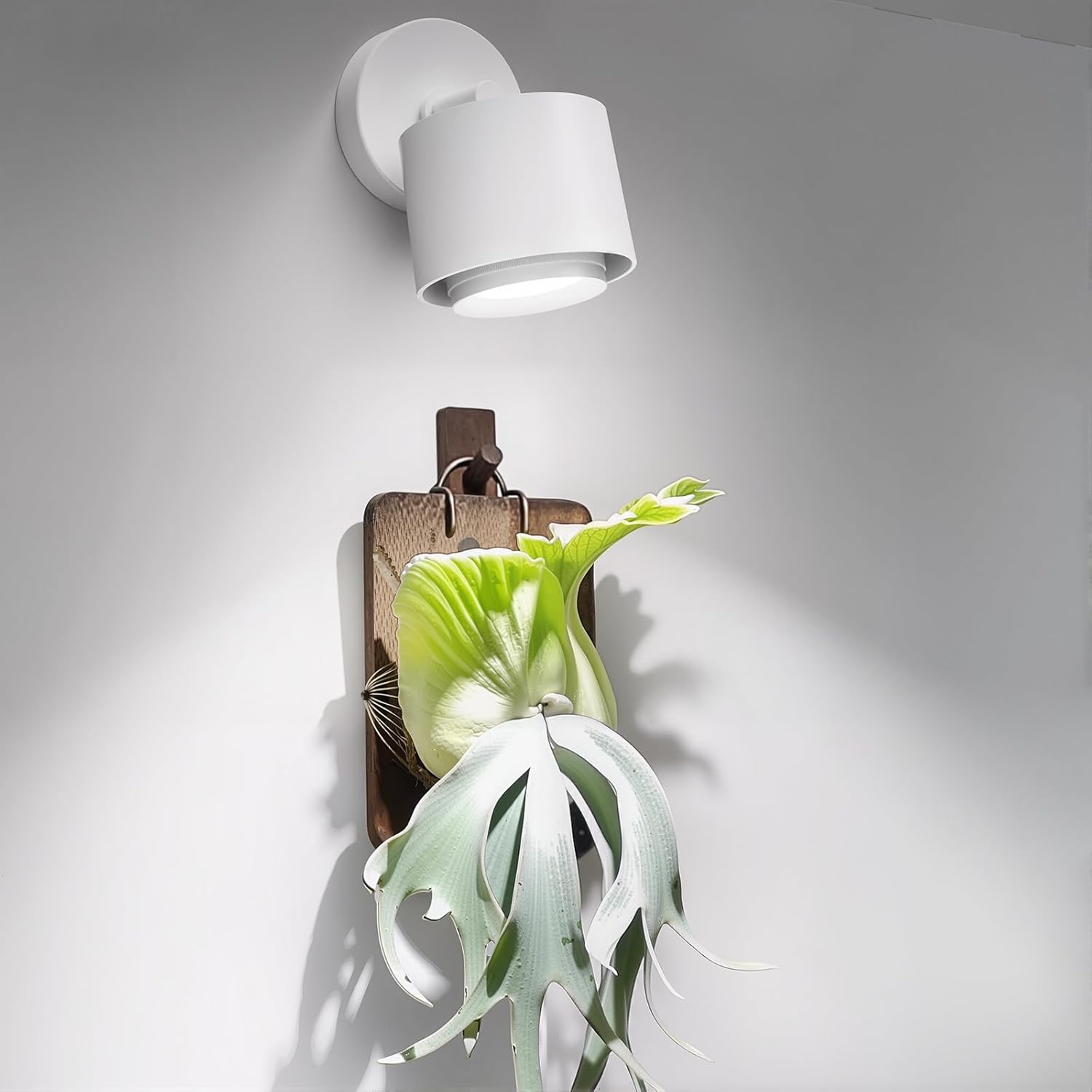 Barrina TR40a 40W LED Grow Lights 5000K | Full Spectrum, Hanging & Timer | TR-40a