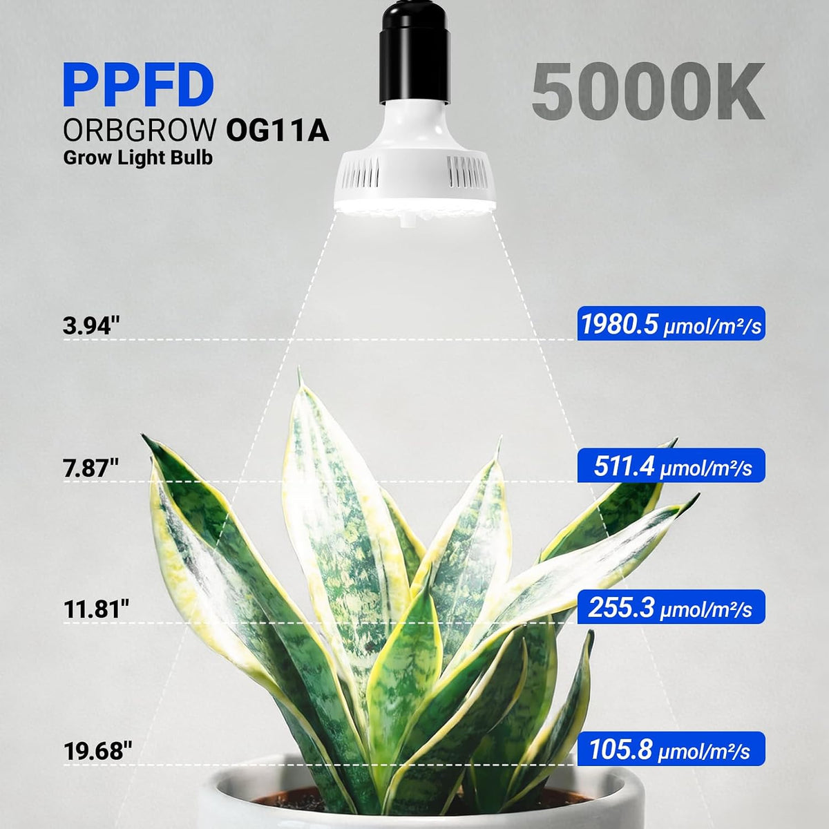 Barrina Orbgrow 2 x 11W Clip-On LED Grow Lights 5000K | Full Spectrum, Dimmable & Timing | OG11A