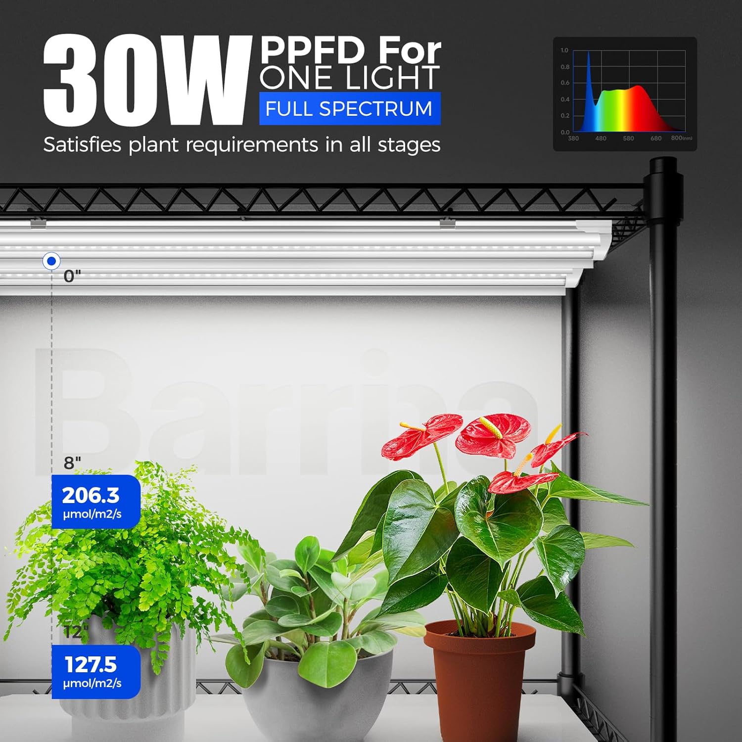 Barrina 4-Tier Plant Stand with 6-Pack T8 30W LED Grow Lights 3FT 5000K | Full Spectrum & Timer | QI30