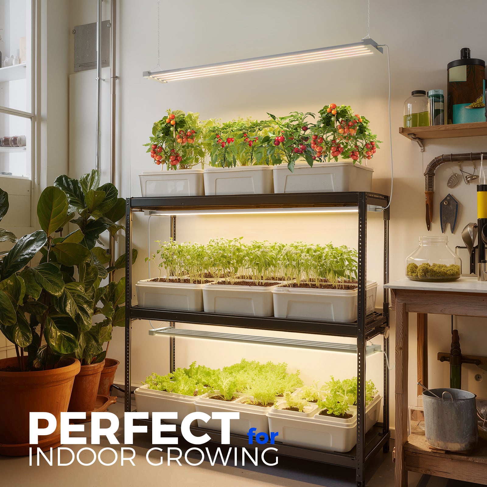 Barrina TX-L84 84W LED Grow Lights 4FT 3000K+6500K+660nm | Full Spectrum & Linkable | TX-L84