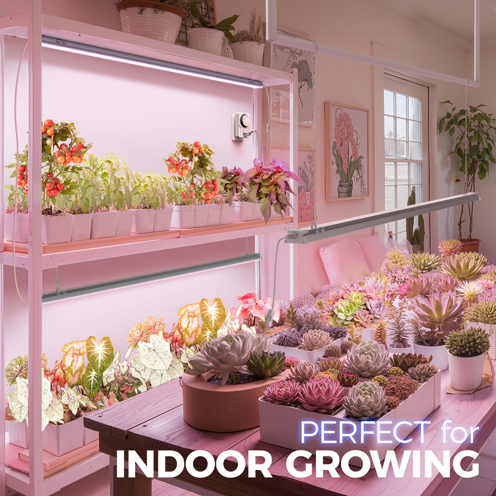 Barrina TX-S60 60W LED Grow Lights 4FT Pink Light | Full Spectrum & Linkable | TX-S60