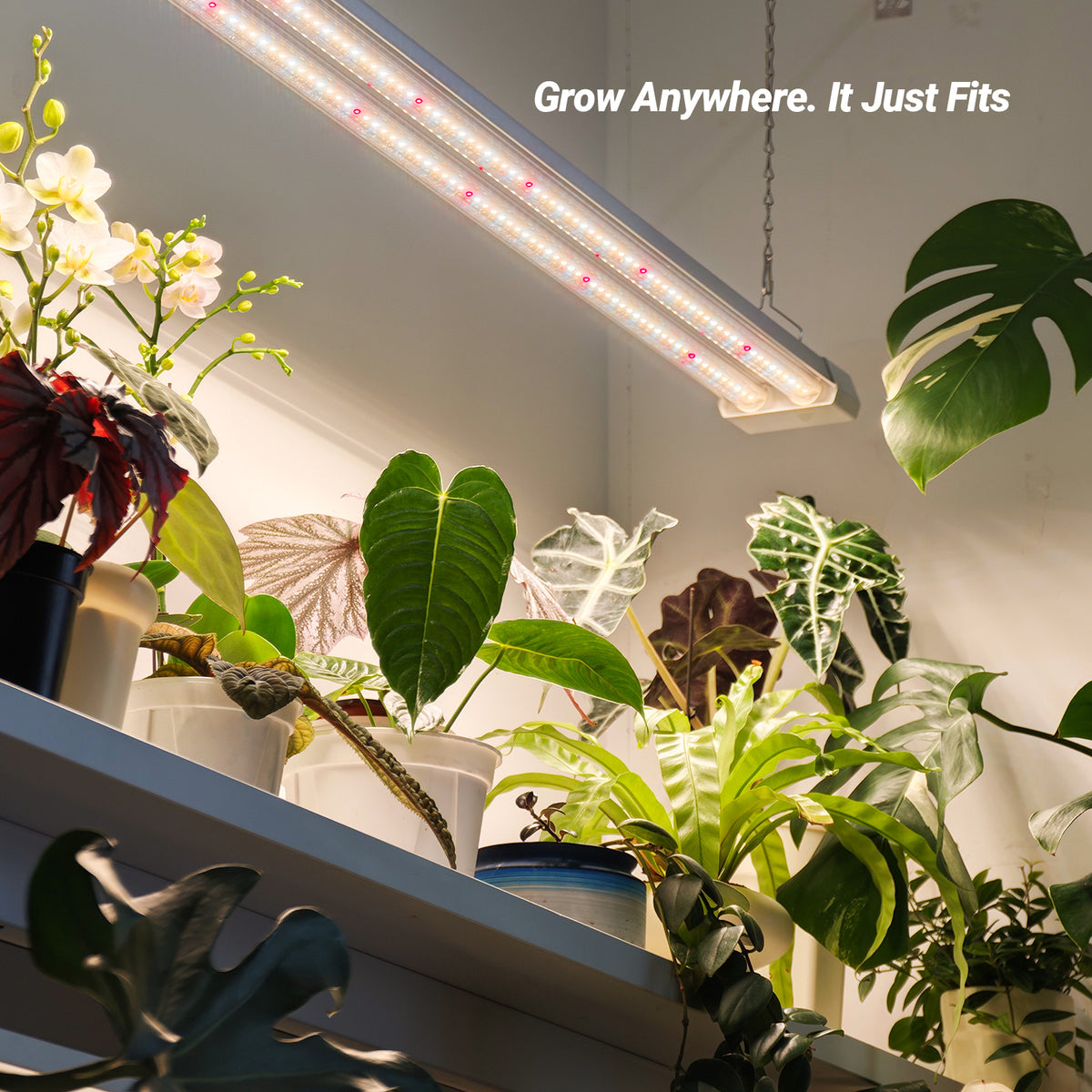 Barrina TX-S50 50W LED Grow Lights 4FT 3000K+6500K+660nm | Full Spectrum & Linkable | TX-L84