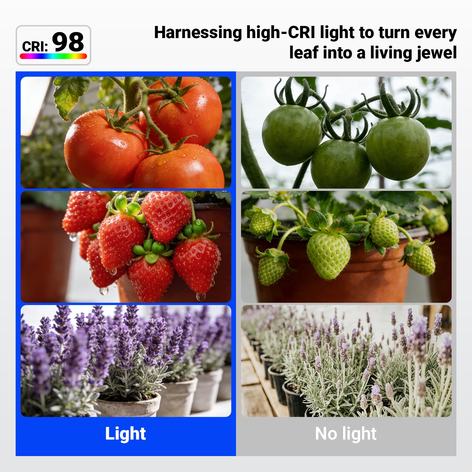 Barrina Orbgrow 11W LED Grow Light Bulbs 5000K | Full Spectrum, Dimmable, Timer & E26 Base | OG11A (White)