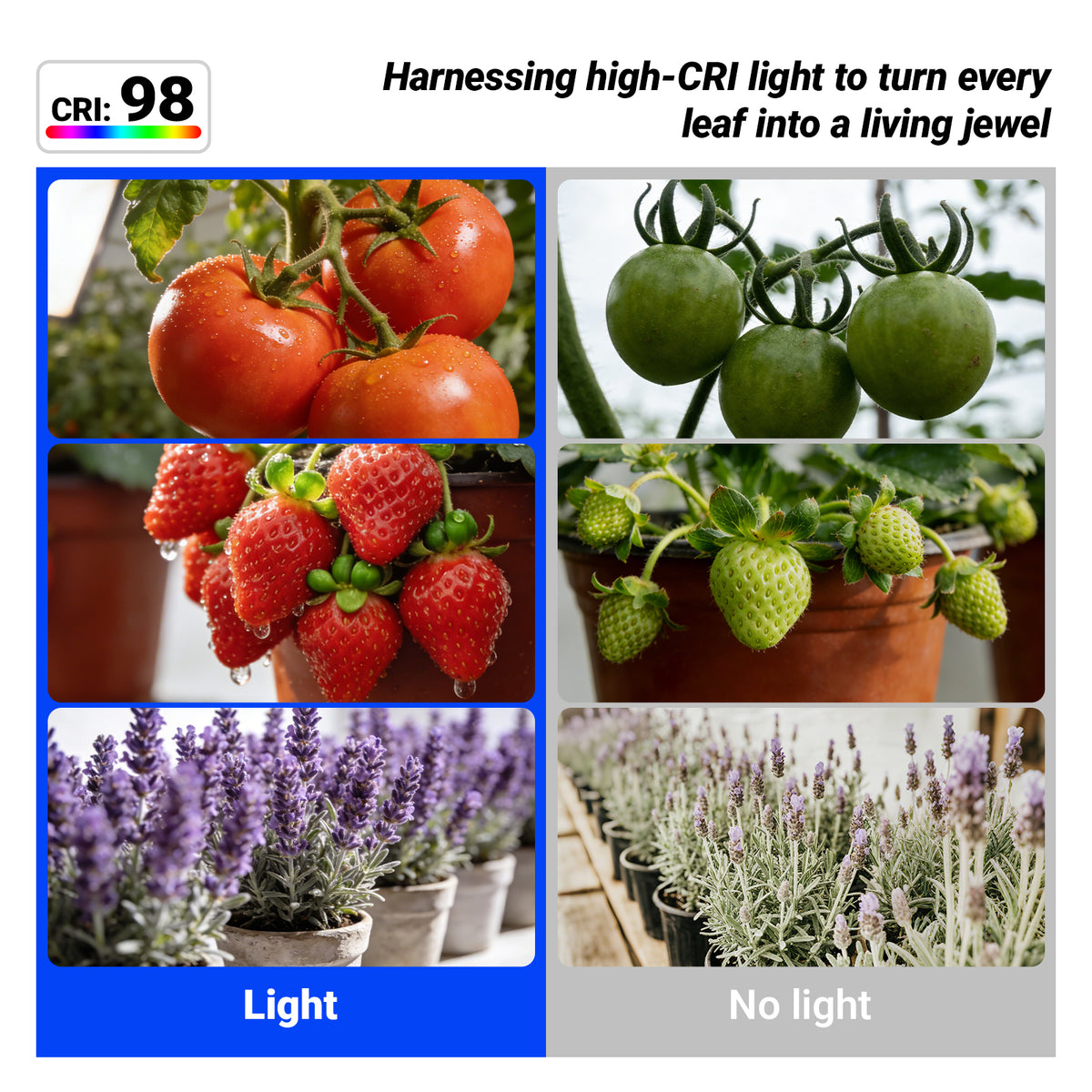 Barrina Orbgrow 11W LED Grow Light Bulb 4000K | Full Spectrum,Dimmable,Timer & E26 Base | OG11D (White)