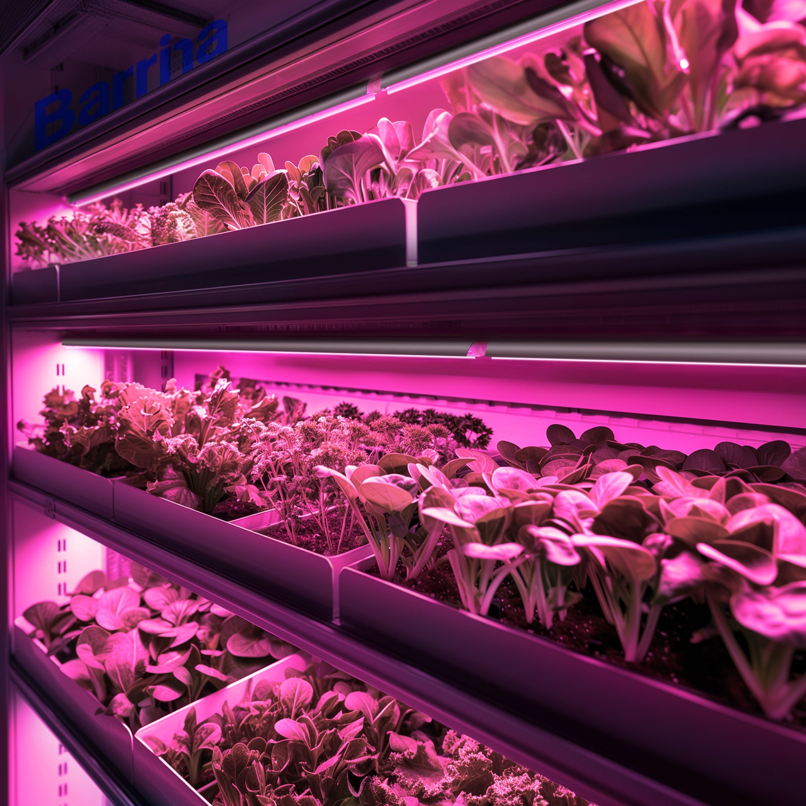 Barrina T8 42W LED Grow Lights 4FT Pink Light | Full Spectrum, Reflect