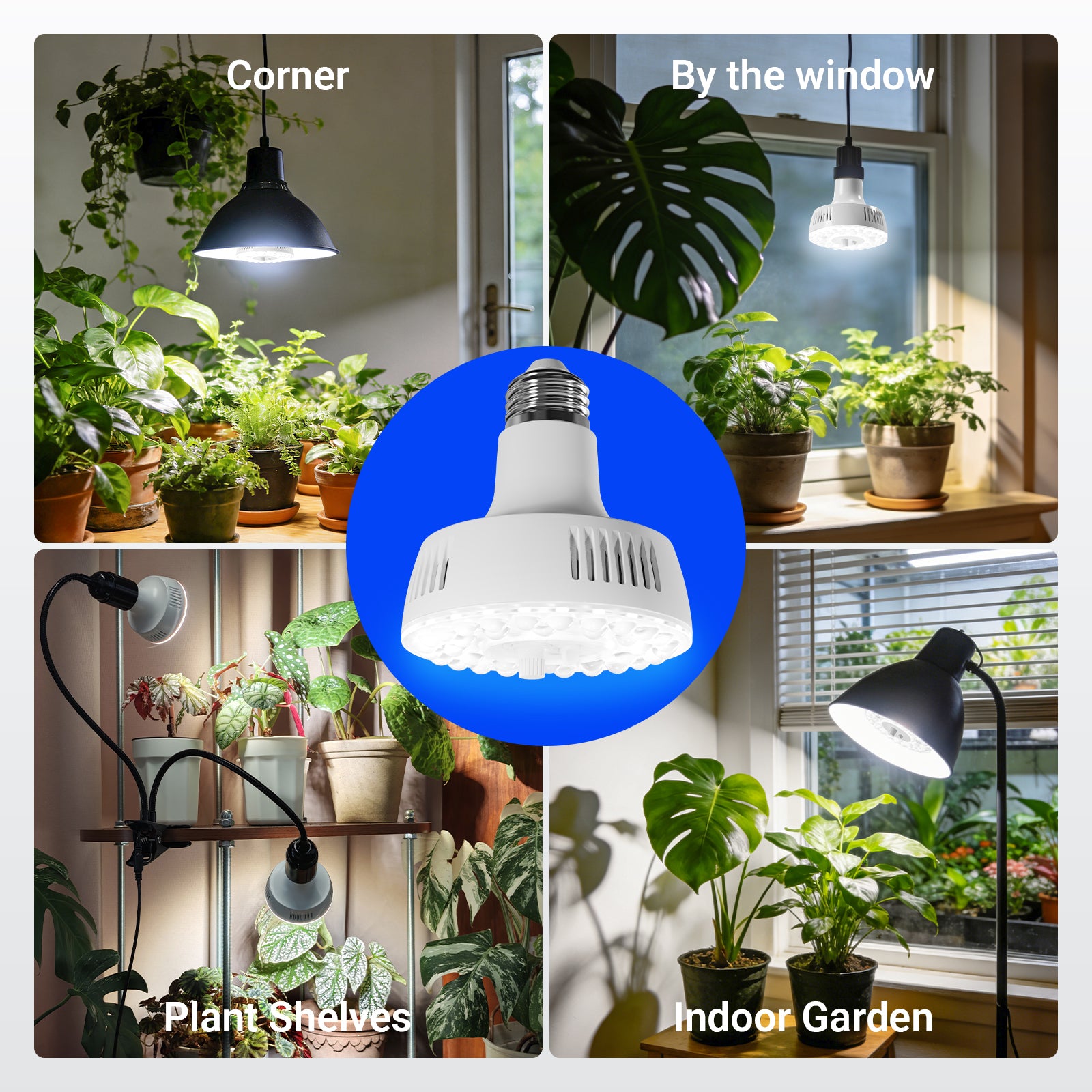 Barrina Orbgrow 11W LED Grow Light Bulbs 5000K | Full Spectrum, Dimmable, Timer & E26 Base | OG11A (White)