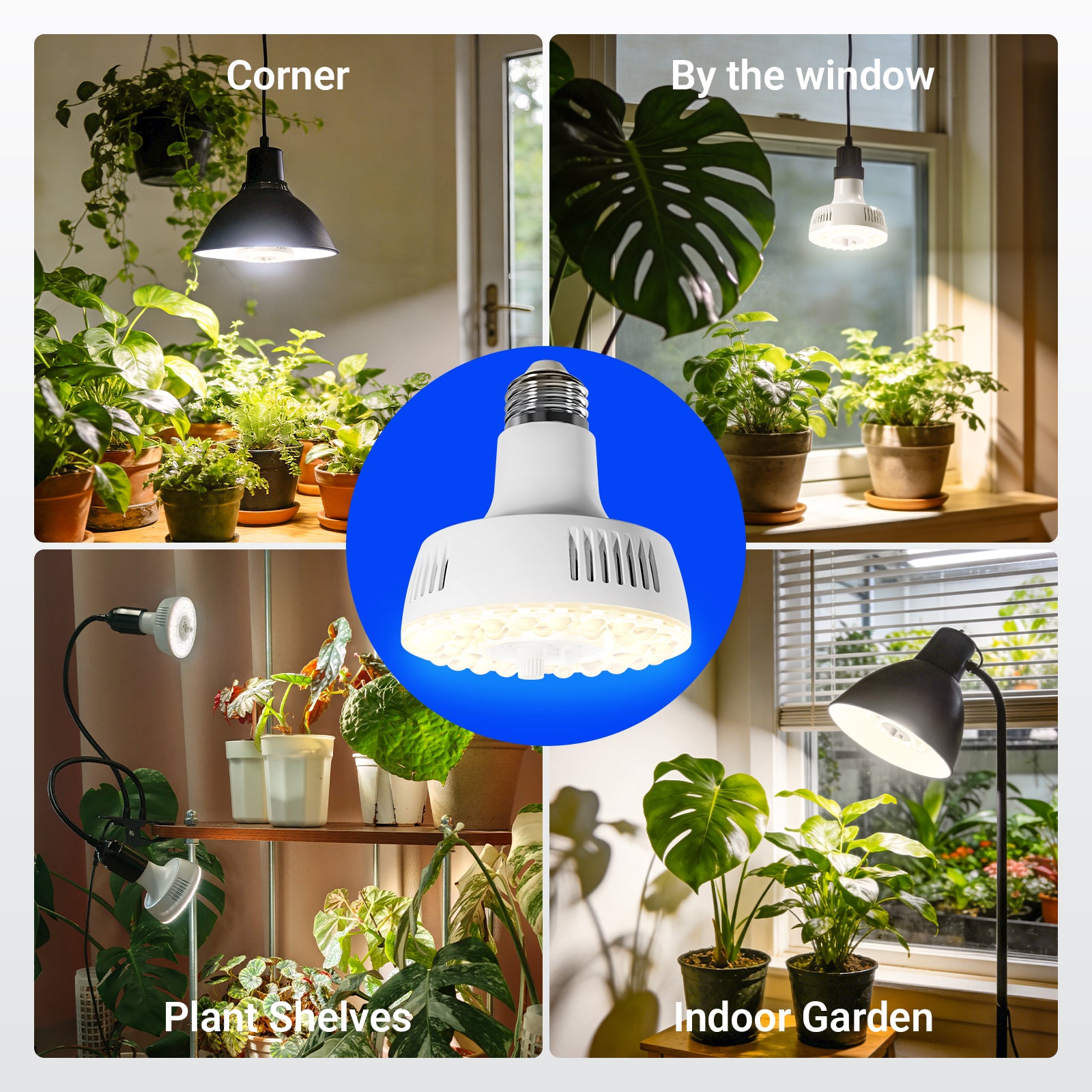 Barrina Orbgrow 11W LED Grow Light Bulb 4000K | Full Spectrum, Dimmable, Timer & E26 Base | OG11A (White)